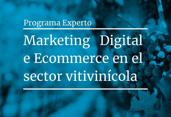 Programa Experto Marketing Digital e Ecommerce en el sector Vitivinícola